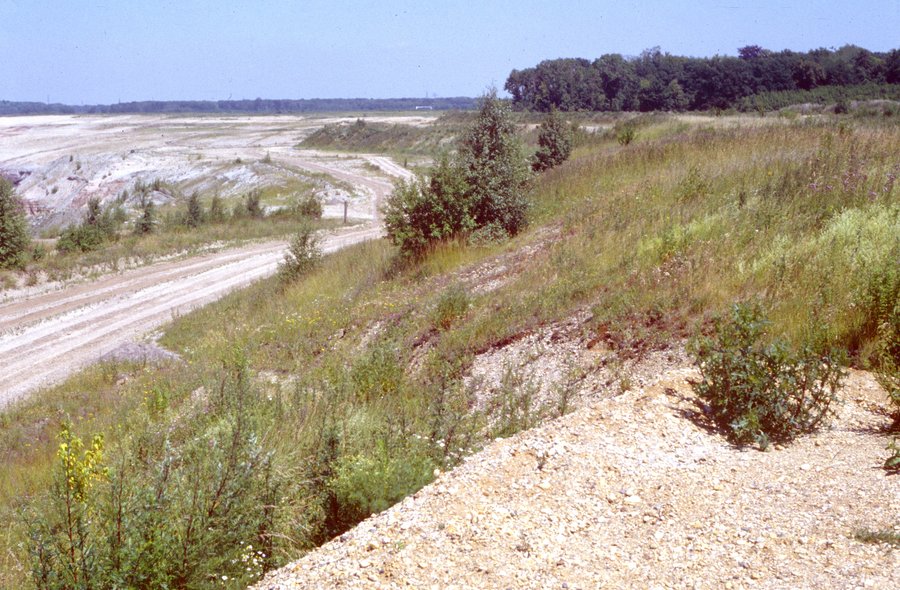 Das historische Farbfoto von 1994 zeigt eine Trockenlandschaft mit niedrigem Buschwerk. Im niedrig liegenden ehemaligen Tagebaugebiet zeichnet sich bereits die Anlage eines künstlichen Sees ab.