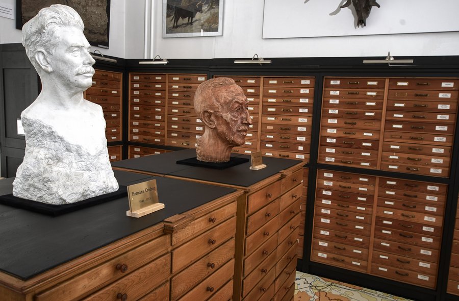Bild zeigt einen Raum mit Schubladenschränken, auf denen eine Büste von Hermann Credner und eine Büste von Franz Kossmat stehen