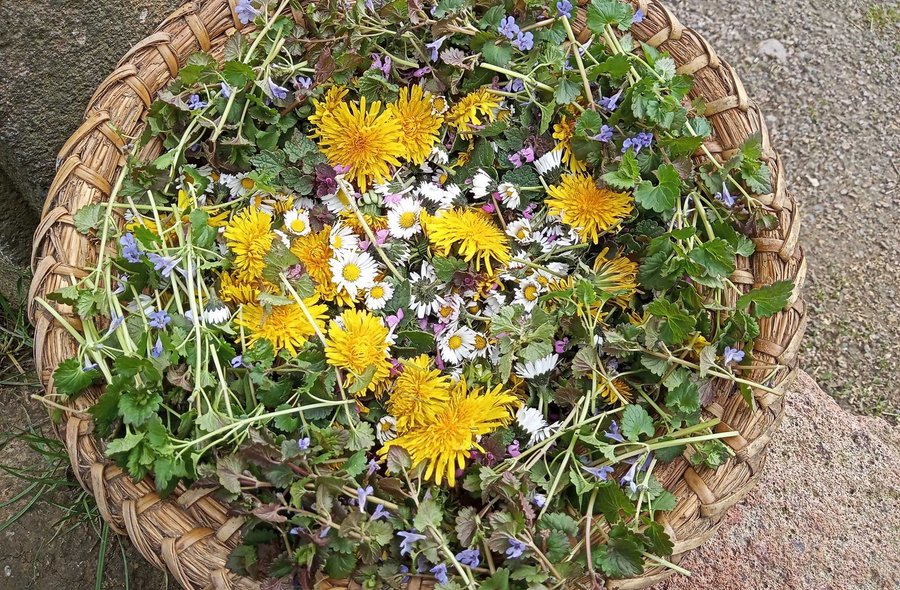 Schatzkammer der Natur Korb mit Kräutern