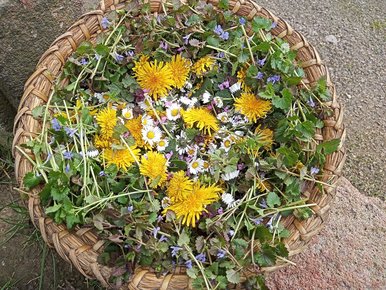 Schatzkammer der Natur Korb mit Kräutern