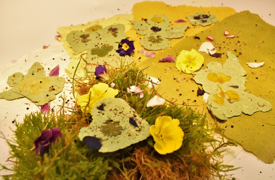Saatpapier und Seedbombs aus Recyclingmaterial Nahaufnahme gelber Blumen und in gelbem Büttenpapier gefassten Blumensamen
