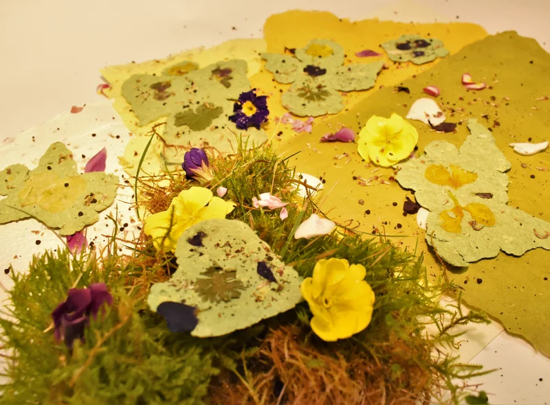 Nahaufnahme gelber Blumen und in gelbem Büttenpapier gefassten Blumensamen