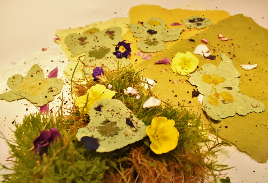 Saatpapier und Seedbombs aus Recyclingmaterial Nahaufnahme gelber Blumen und in gelbem Büttenpapier gefassten Blumensamen
