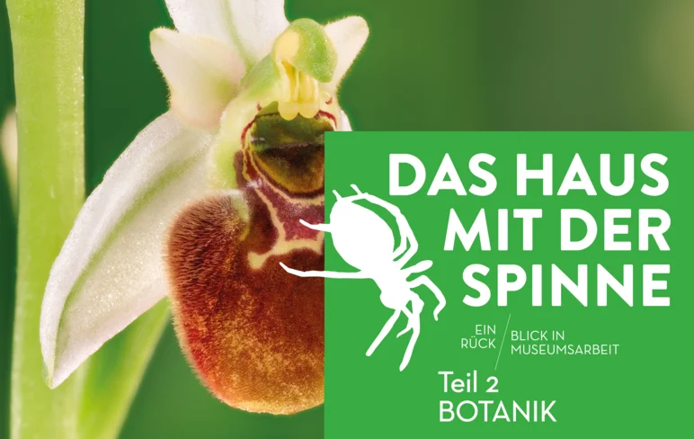 Nahaufnahme des Inneren einer Blüte. Daneben sind die Eckdaten zur Ausstellung aufgeführt.