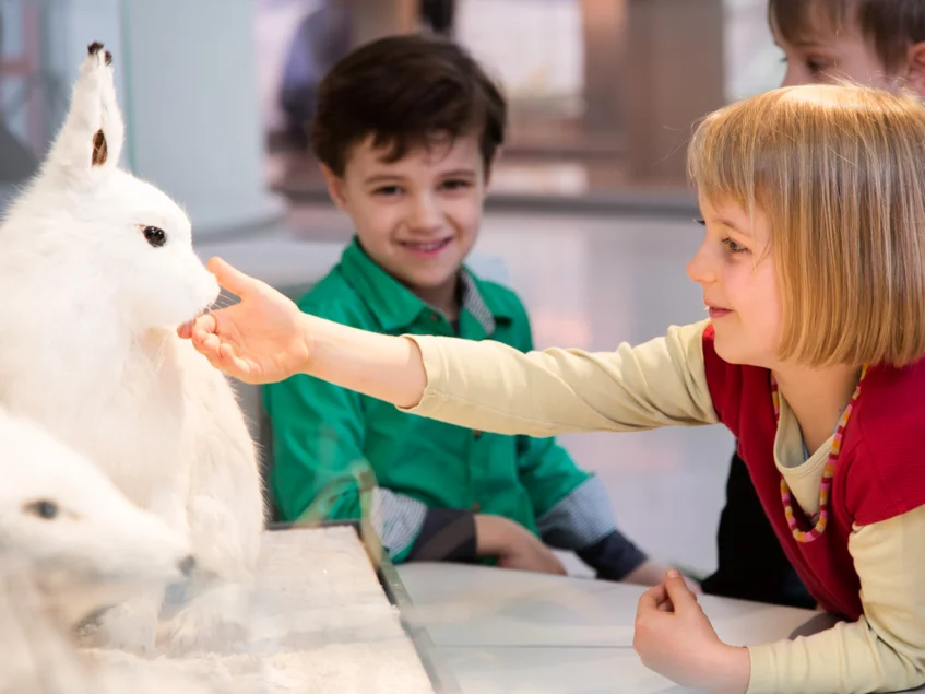 Das Bild zeigt zwei Kinder, die einen weißen Hasen anschauen.