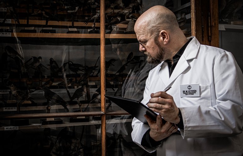 Ein Mann mit Bart, Glatze, weißem Laborkittel, Stift und Schreibblock blickt in eine historische Vitrine mit ausgestopften Vögeln.
