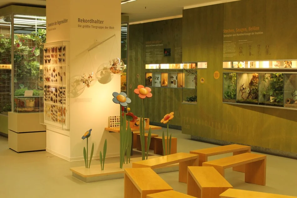 Blick ins Insektarium