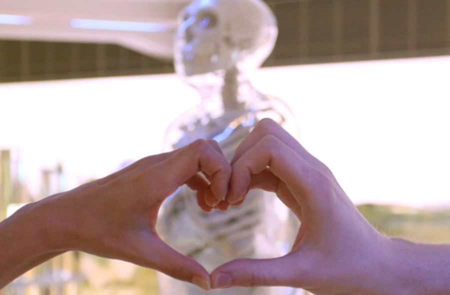 Auf dem Bild sieht man zwei Hände die ein Herz formen. Im Hintergrund sieht man ein Skelett.