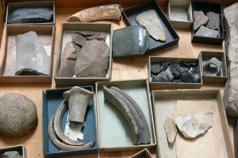 Depot: archäologische Objekte von der paläolithischen Speerspitze bis zur mittelalterlichen Keramik