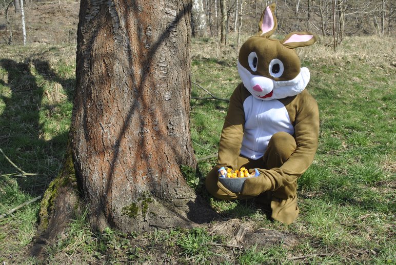 Foto eines als Osterhase verkleideten Menschen, der auf einer Wiese neben einem Baum kniet und ein mit Süßigkeiten gefülltes Oster-Nest hält.