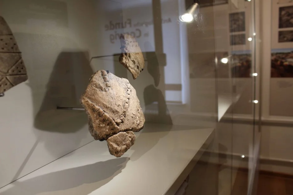 Gefäßscherbe aus der Jungsteinzeit Eine Scherbe aus Ton wird in einer beleuchteten Vitrine präsentiert.