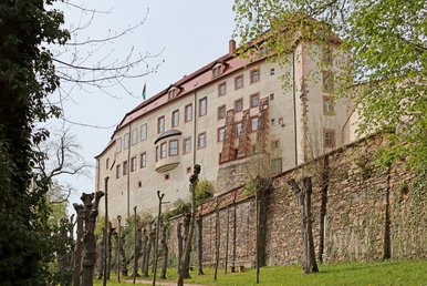 Schloss Wolkenburg Sanierte Fassade des Schlosses vom Schlosspark aus betrachtet, Fensterzeilen, beiger Putz, rotes Dach