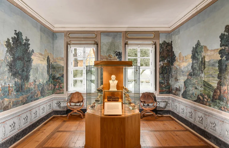 Das Foto zeigt das Tapetenzimmer im Schloss Burgk. Die Wände sind in historische Tapeten mit Landschaftsszenen gekleidet. Im Vordergrund steht eine Vitrine, in der unter anderem die Büste eines Mannes ausgestellt ist. Im Hintergrund befinden sich zwei hohe Fenster, vor denen zwei identisch aussehende historische Stühle stehen.