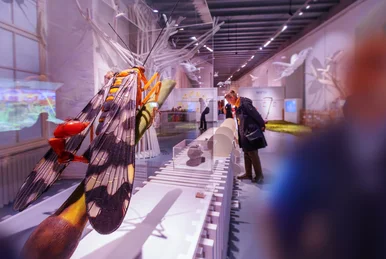 Im Vordergrund ein riesiges Insektenmodell; im Hintergrund Menschen, die weitere Objekte in Vitrinen betrachten