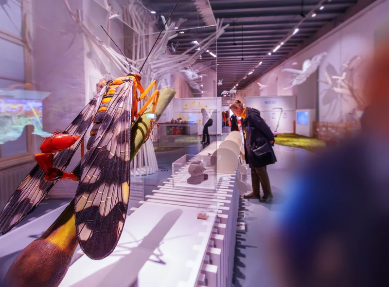 Im Vordergrund ein riesiges Insektenmodell; im Hintergrund Menschen, die weitere Objekte in Vitrinen betrachten