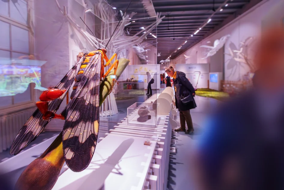 Im Vordergrund ein riesiges Insektenmodell; im Hintergrund Menschen, die weitere Objekte in Vitrinen betrachten