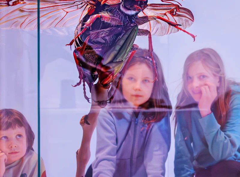 Drei Mädchen betrachten das überdimensionale Modell eines Insektes.