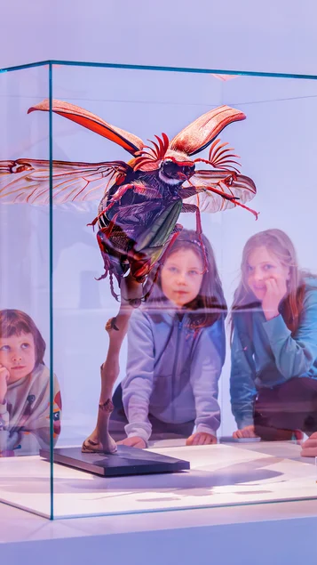 Drei Mädchen betrachten das überdimensionale Modell eines Insektes.