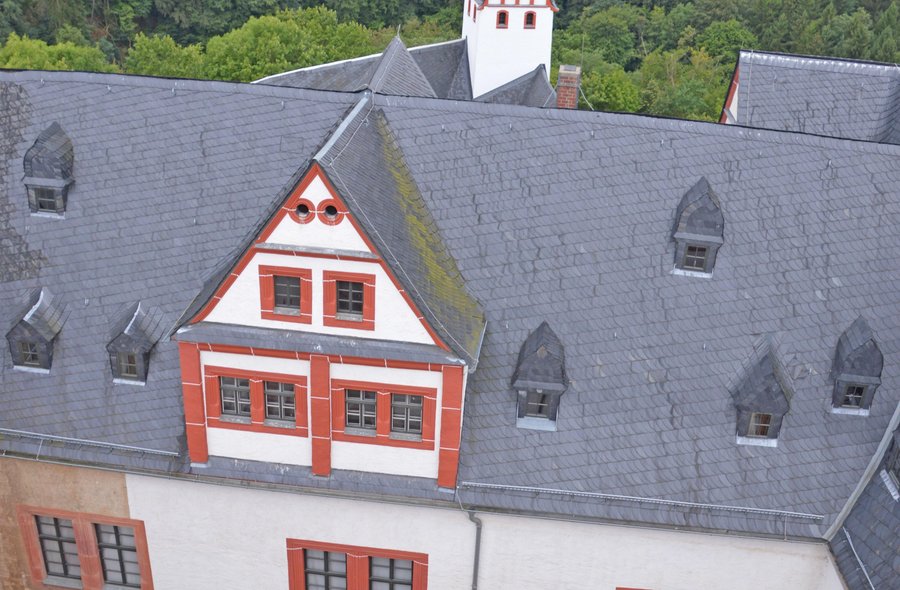 Das Foto zeigt einen Blick vom Bergfried der Rochsburg auf einen Teil des Schlosses mit seinen weißgetünchten Mauern, dunkelrot umrandeten Fenstern und schiefergedecktem Dach; im Hintergrund ist eine bewaldete Fläche zu sehen.