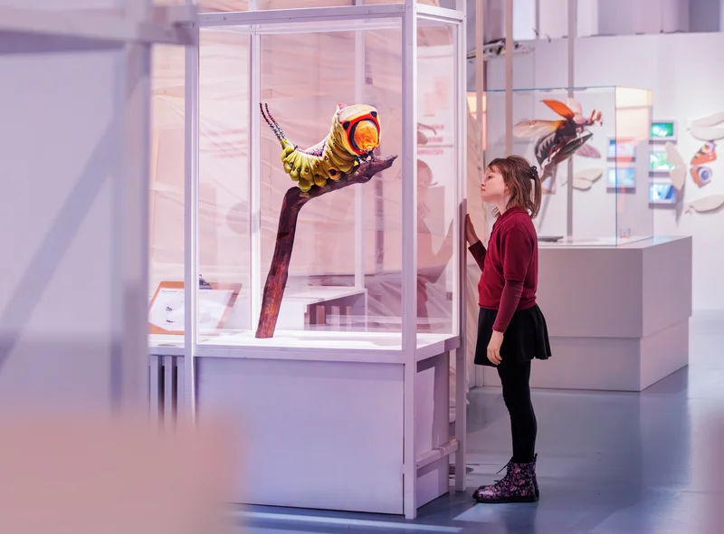Ein Mädchen steht vor einer Vitrine und betrachtet ein großes Modell einer Raupe. Im Hintergrund weitere Vitrinen.