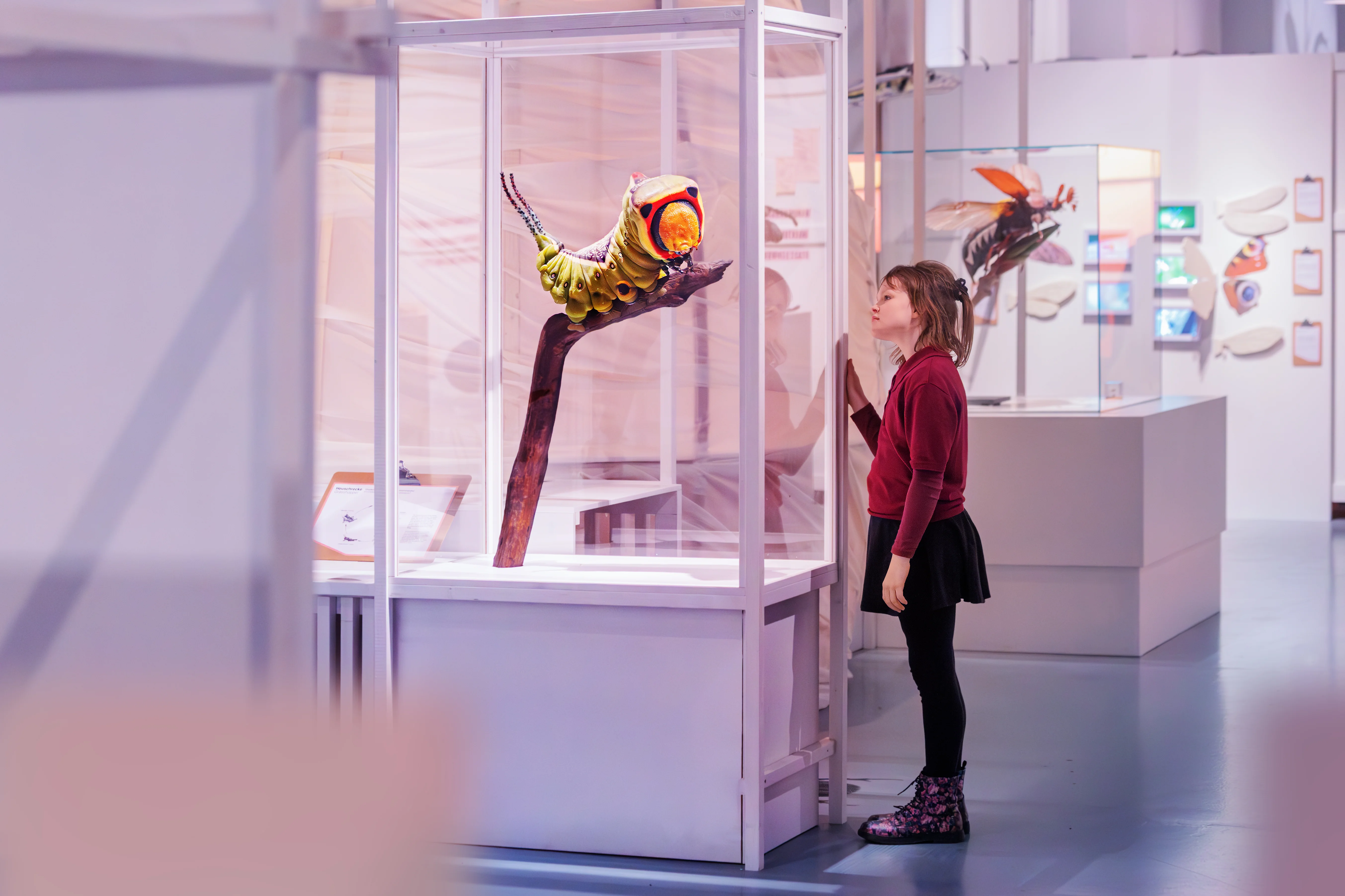 Ein Mädchen steht vor einer Vitrine und betrachtet ein großes Modell einer Raupe. Im Hintergrund weitere Vitrinen.