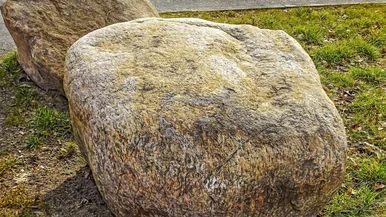 Weit gewandert Ein großer Stein – ein Findling – auf einer Wiese