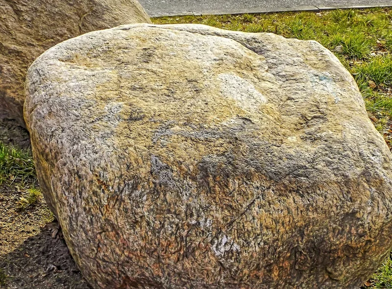 Ein großer Stein – ein Findling – auf einer Wiese
