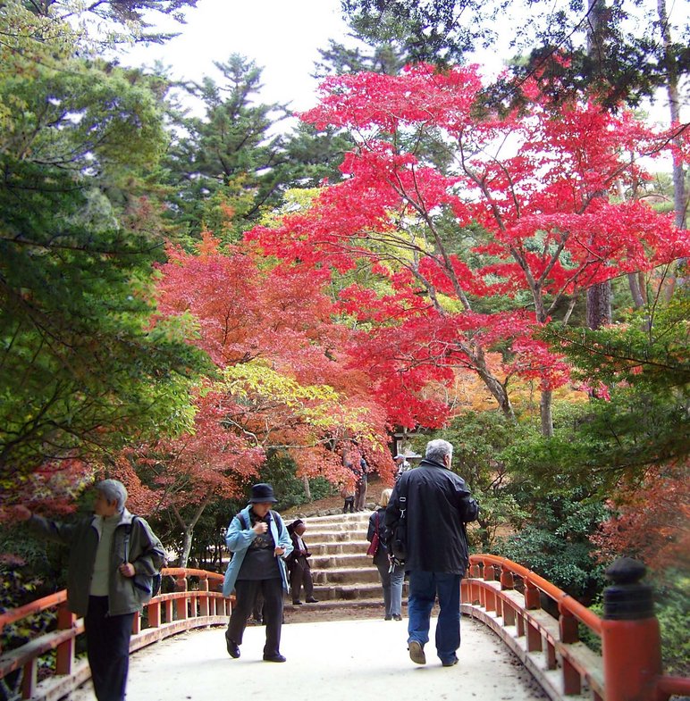 Brücke mit rotem Geländer und drei Passanten, im Hintergrund verschiedenfarbige Bäume