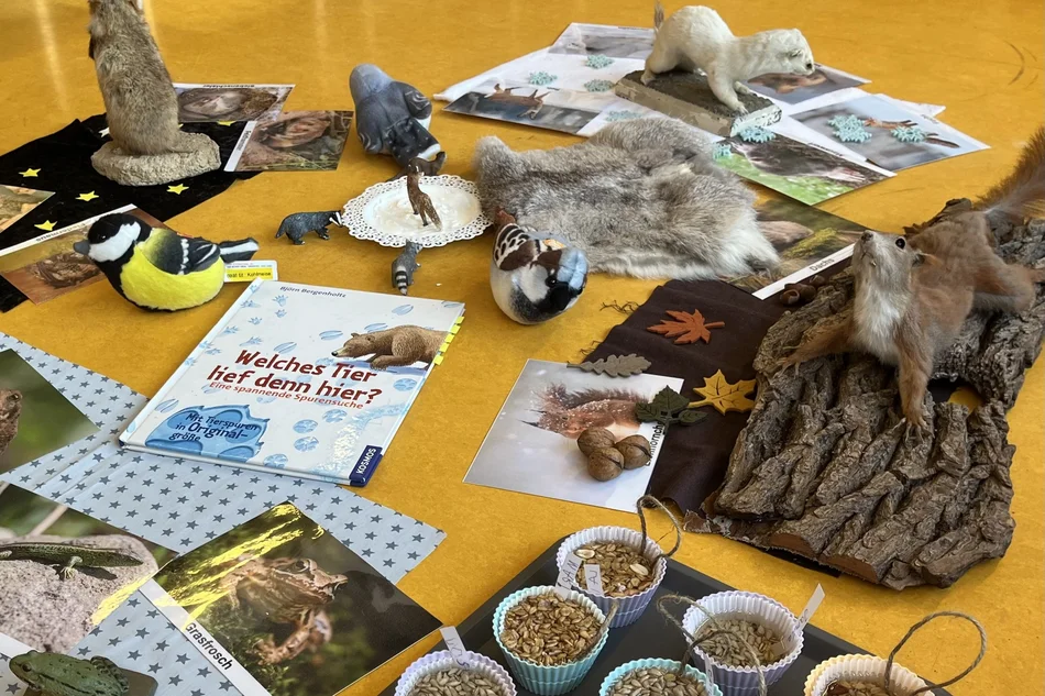 Tiere im Winter Auf einer Arbeitsfläche sind Tierfotos, Kleintierpräparate, ein Buch und Schälchen mit Körnern angeordnet.