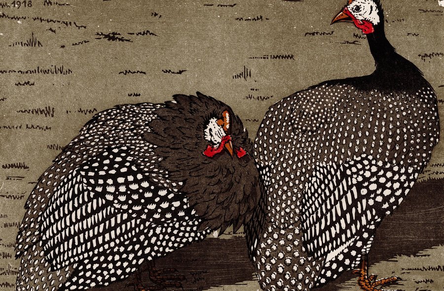 Grafik zweier nebeneinander auf dem Boden stehender, hühnerartiger Vögel mit schwarz-weißem Gefieder. Links oben stehen die Signatur "MEPH" und das Jahr 1918.
