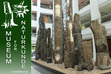 Museum für Naturkunde Chemnitz