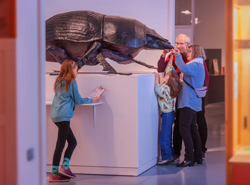 Zwei ältere Menschen und zwei Kinder betrachten gemeinsam ein riesiges Modell eines Käfers.