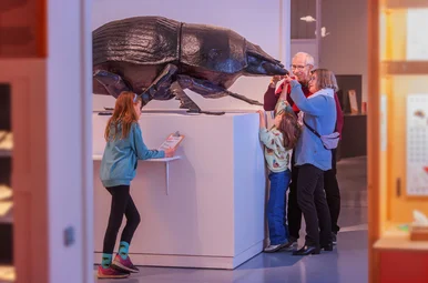 Zwei ältere Menschen und zwei Kinder betrachten gemeinsam ein riesiges Modell eines Käfers.