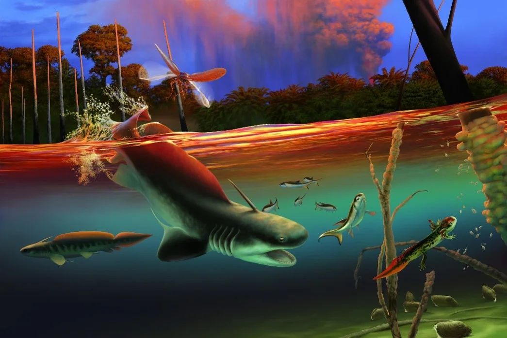 Haie des Erdaltertums – Eine Erfolgsgeschichte der Evolution Veranschaulichung einer Urzeit-Unterwasserwelt mit einem riesigen Hai und mehreren kleinen Haien und Lurchen