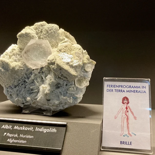 Ein ausgestelltes Mineral mit der dargestellten Verwendung für den Menschen