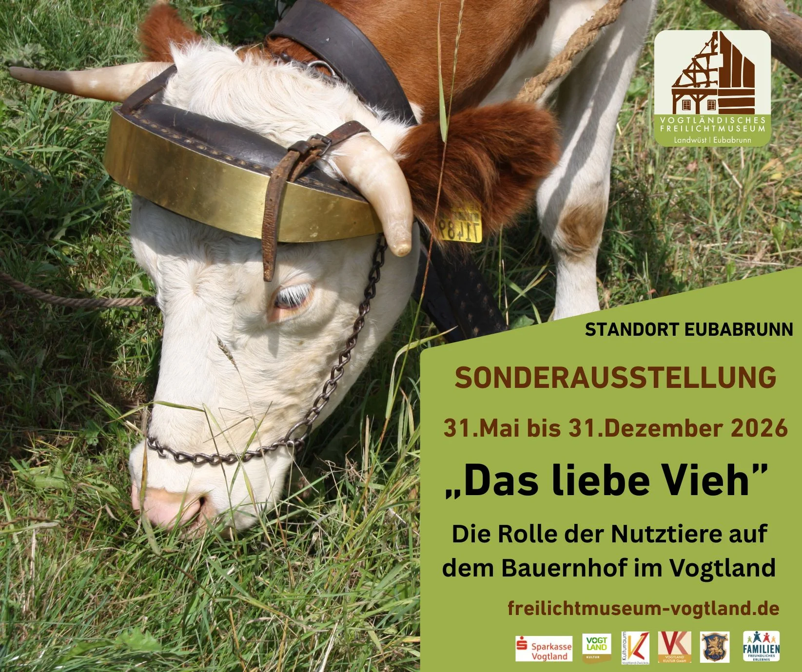 Ausstellungsplakat Plakatmotiv ist das Foto einer weidenden Kuh mit Stirnjoch. Rechts steht der Ausstellungstitel "Das liebe Vieh".