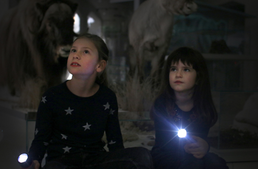 Das Bild zeigt zwei Kinder mit Taschenlampen. Sie schauen nach oben. Das Licht ist dunkel.