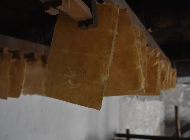 Das Foto zeigt eine große Zahl frisch geschöpfter Blatt Büttenpapier, die zum Trocknen von einer Holzbalkendecke hängen.