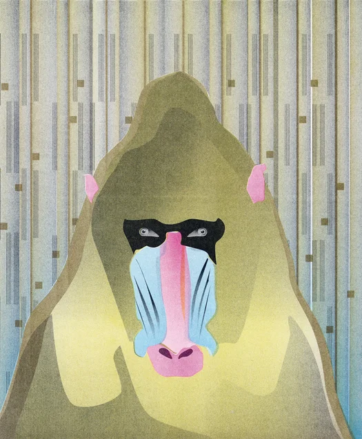 Digital erstellte Grafik eines direkt den Betrachter anschauenden großen Affens mit pinkfarbener Nase