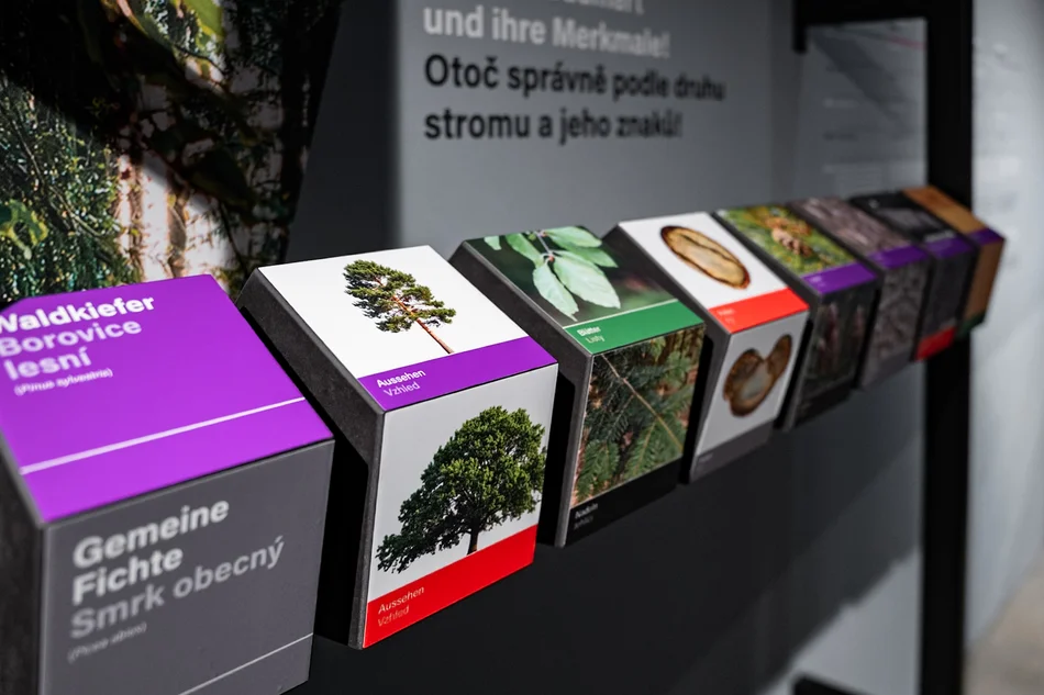 Auf interaktiven, analogen Ausstellungselementen sind Bilder unterschiedlicher Bäume und Pflanzen aufgebracht.