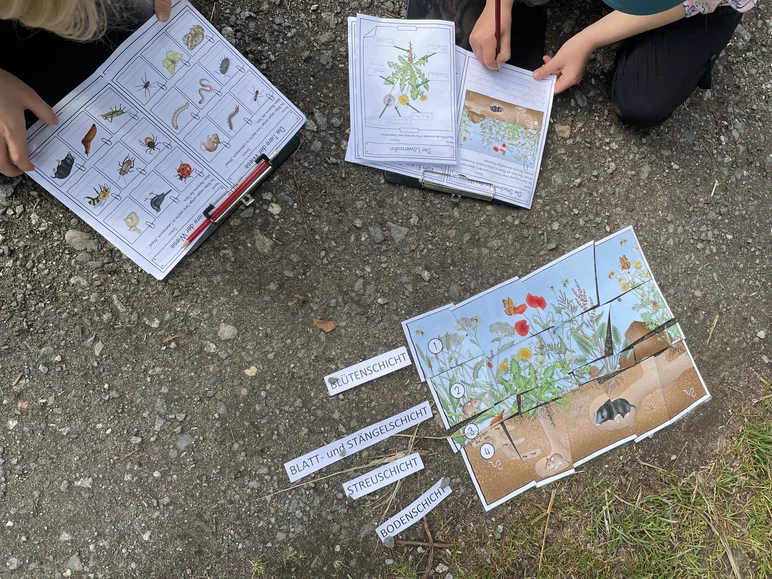 Auf einem Weg neben einer Wiese liegen zwischen zwei im Bild nur angeschnittenen Personen diverse Arbeitsblätter zu Insekten, Käfern und Pflanzen.