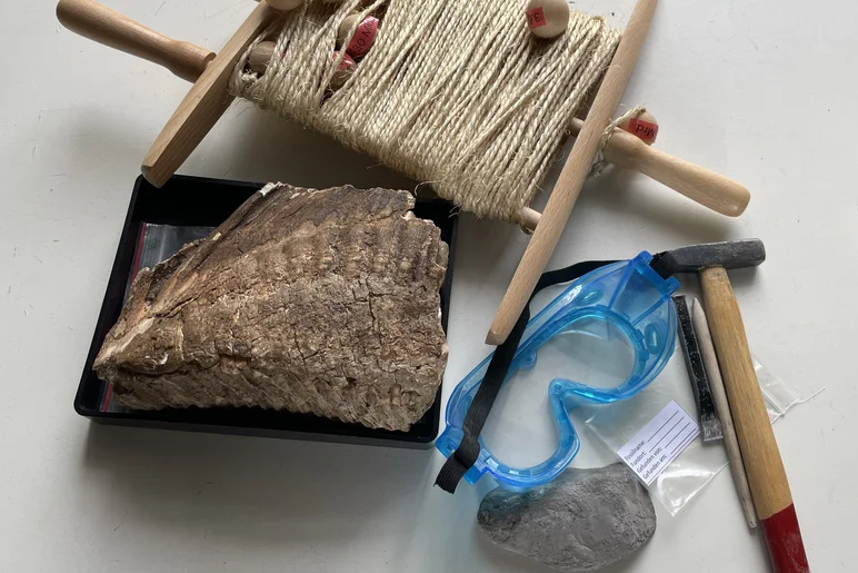 Auf einer Arbeitsfläche ist zwei steinerne Fossilien, ein aufgewickelter Faden, Handwerkzeuge und eine Schutzbrille angeordnet.