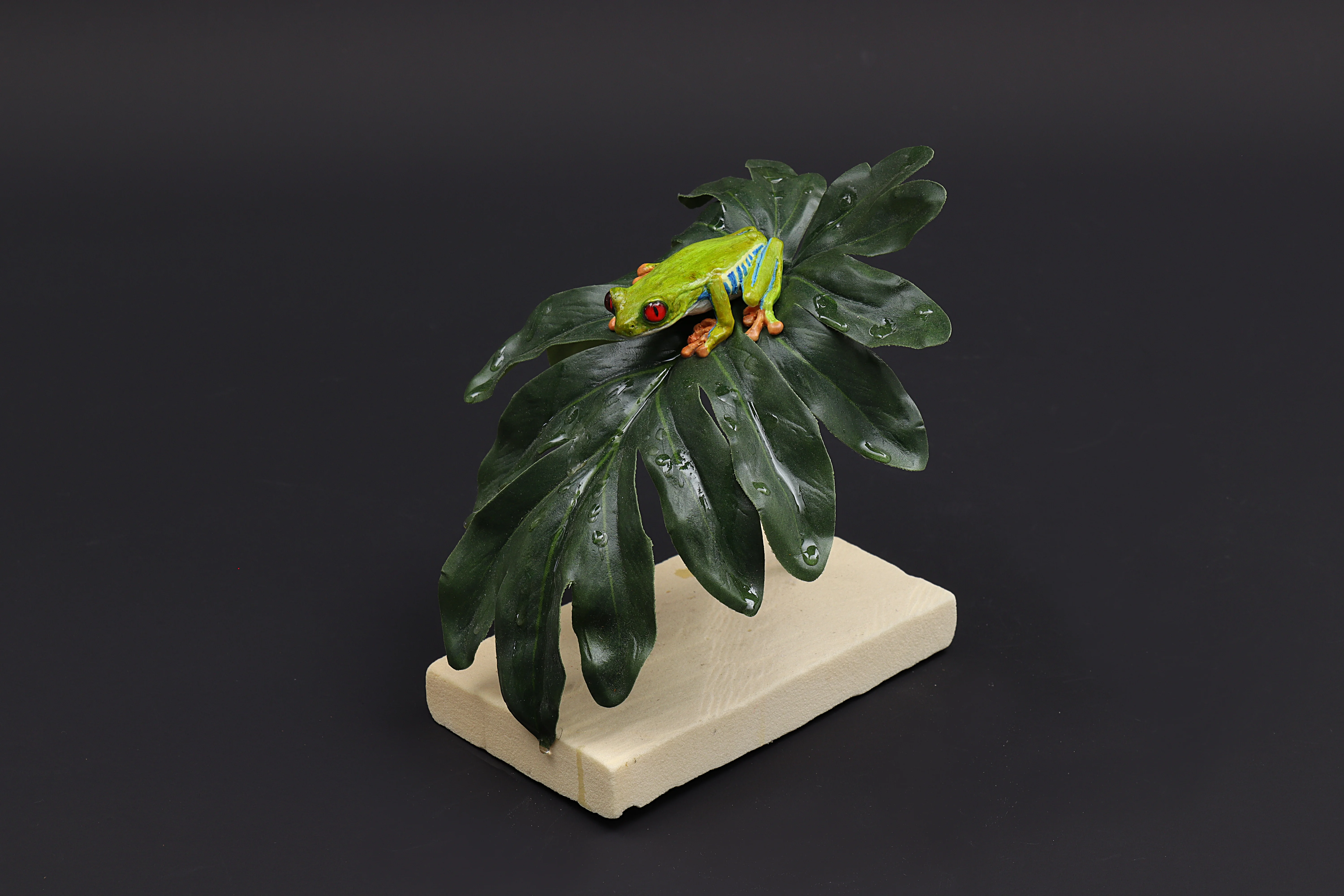 Präparat eines auf einem großen Blatt sitzenden, kleinen hellgrünen Frosches mit roten Augen