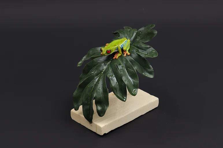 Präparat eines auf einem großen Blatt sitzenden, kleinen hellgrünen Frosches mit roten Augen