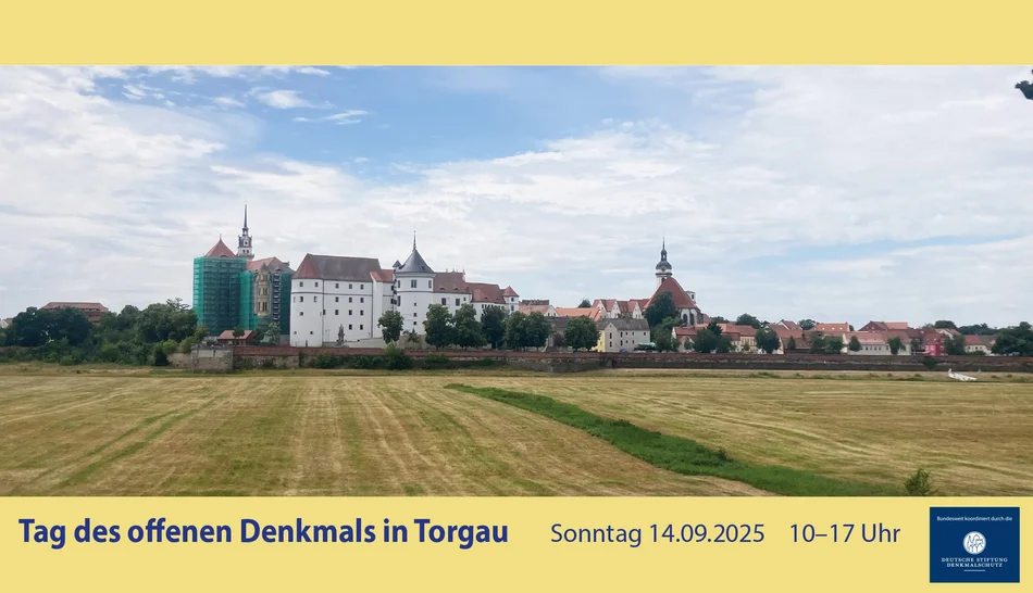 Schloss Hartenfels – Blick über die Elbwiesen Panorama-Foto über abgemähte Wiesen hin zu einem großen Schloss mit weißer Fassade und mehreren Türmen