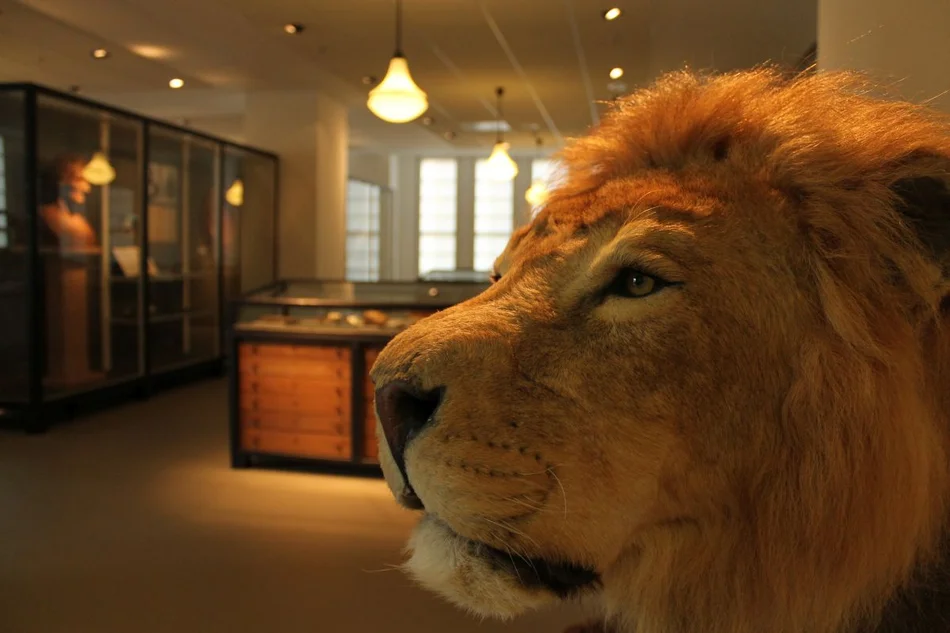 Historisches Kabinett