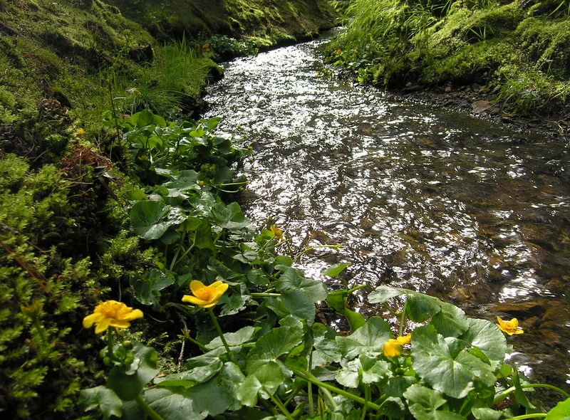 Landschaft bei Ehrenfriedersdorf