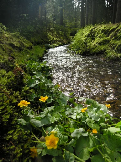 Landschaft bei Ehrenfriedersdorf Landschaft bei Ehrenfriedersdorf