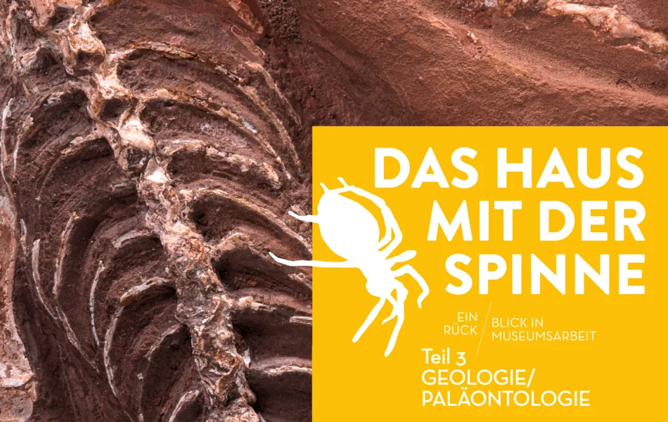 Titel der Ausstellung "Das Haus mit der Spinne – Teil 3: Geologie / Paläontologie", im Hintergrund ein fossiliertes Skelett