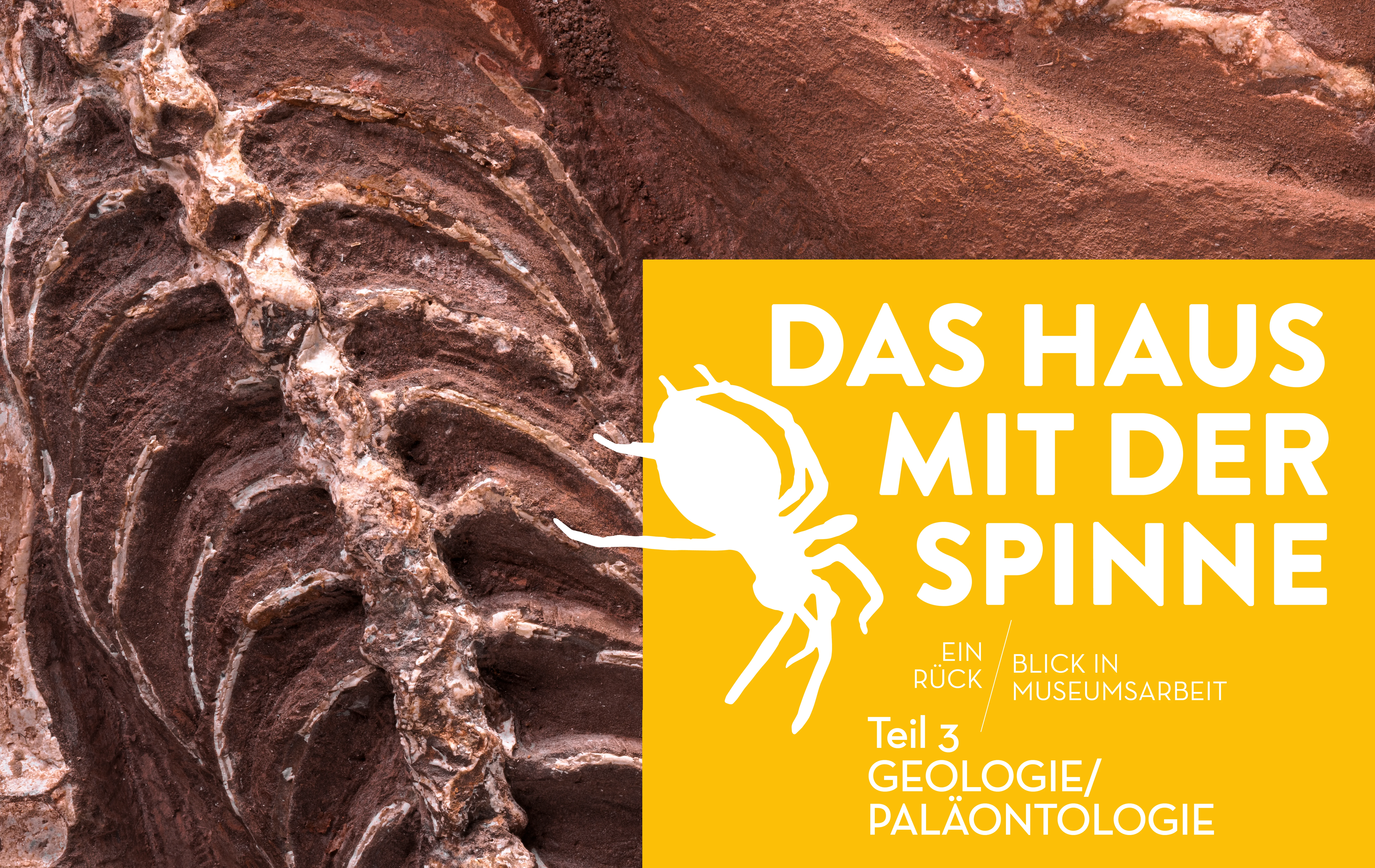 Titel der Ausstellung "Das Haus mit der Spinne – Teil 3: Geologie / Paläontologie", im Hintergrund ein fossiliertes Skelett
